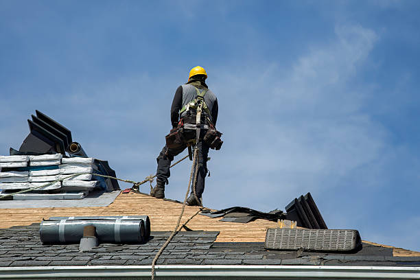 Professional Roofing technician working in Sciota, IL